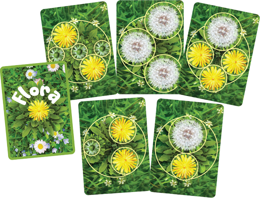 Flora Funga