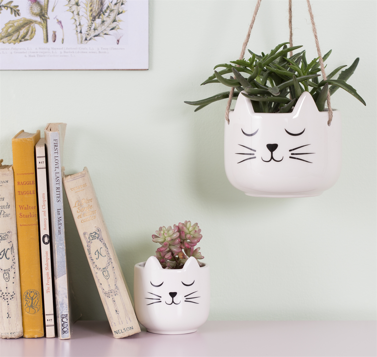 Mini Cat's Whiskers Planter