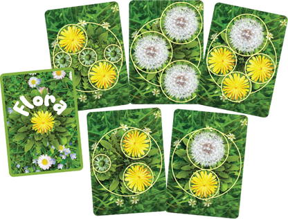 Flora Funga