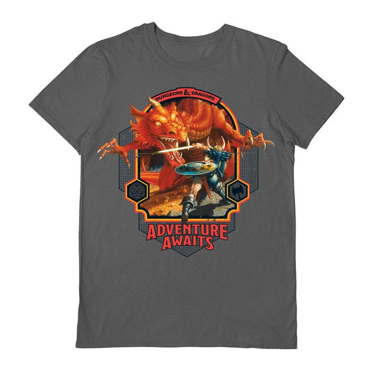 Dungeons&Dragons Official Adventure Awaits Grey: L