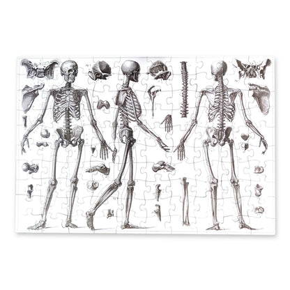 Vintage Skeletons – 100 Piece Puzzle