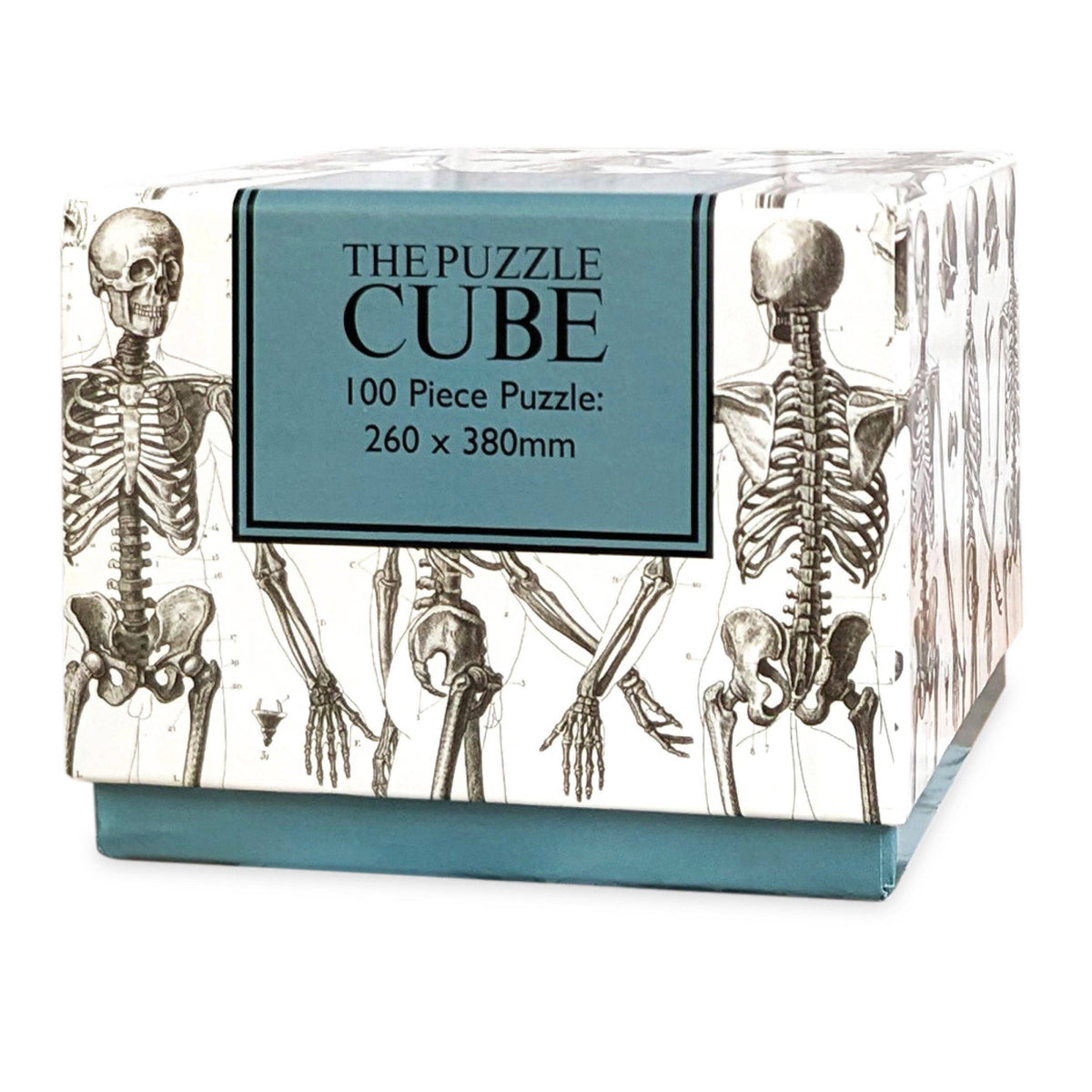 Vintage Skeletons – 100 Piece Puzzle